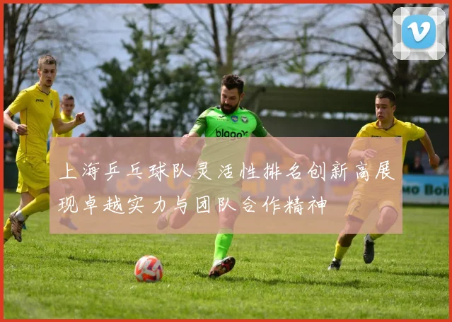上海乒乓球队灵活性排名创新高展现卓越实力与团队合作精神