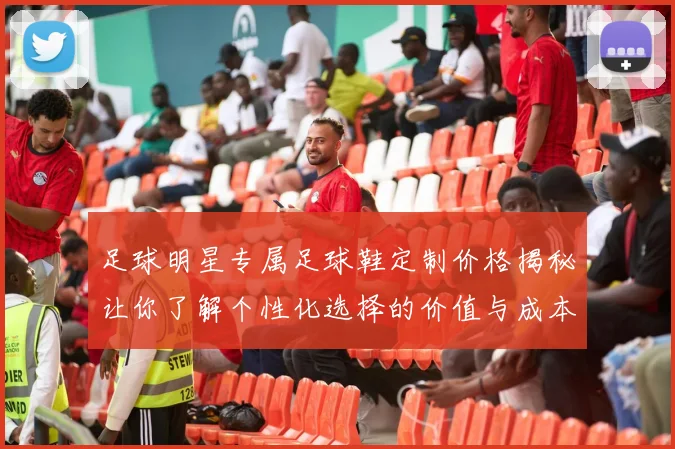 足球明星专属足球鞋定制价格揭秘让你了解个性化选择的价值与成本
