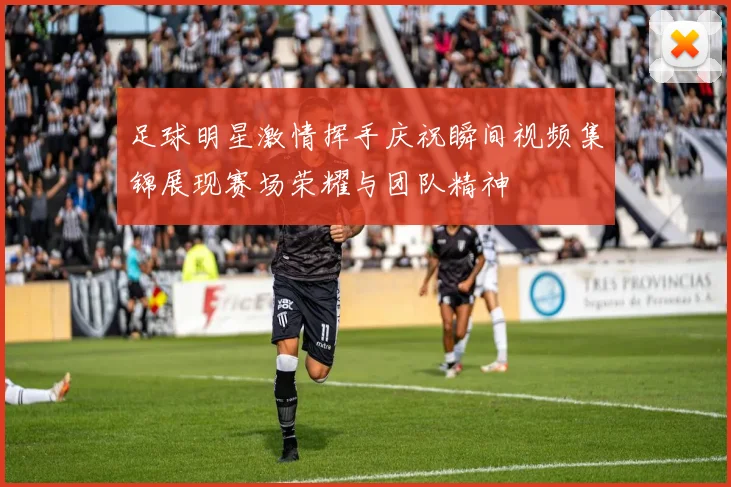 足球明星激情挥手庆祝瞬间视频集锦展现赛场荣耀与团队精神