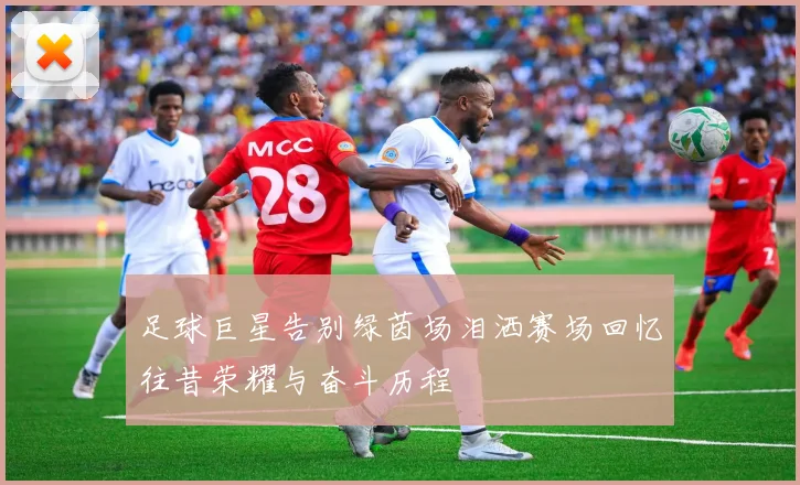 足球巨星告别绿茵场泪洒赛场回忆往昔荣耀与奋斗历程