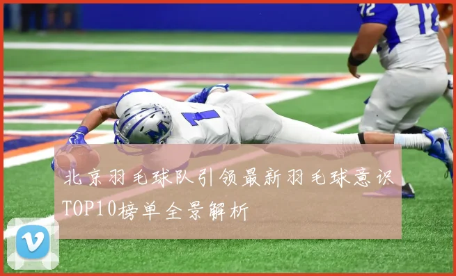 北京羽毛球队引领最新羽毛球意识TOP10榜单全景解析