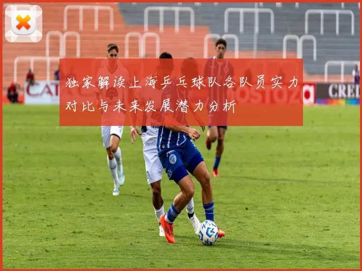 独家解读上海乒乓球队各队员实力对比与未来发展潜力分析