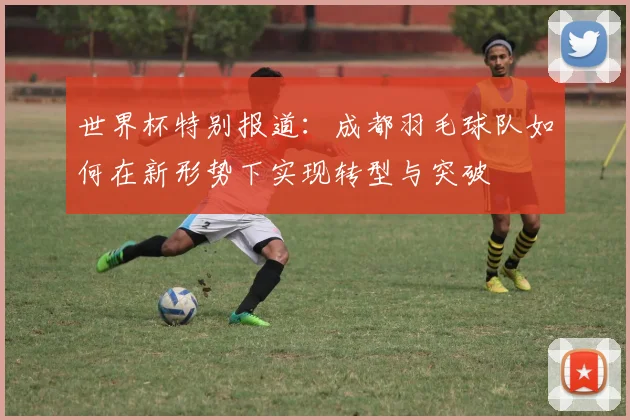 世界杯特别报道：成都羽毛球队如何在新形势下实现转型与突破