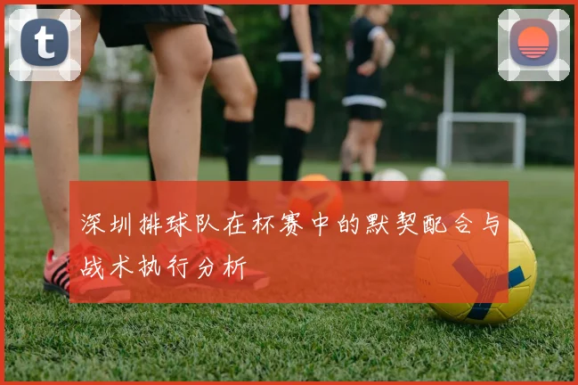 深圳排球队在杯赛中的默契配合与战术执行分析