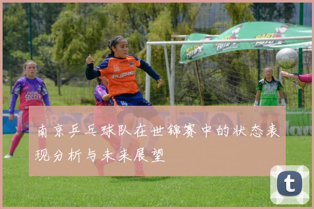 南京乒乓球队在世锦赛中的状态表现分析与未来展望