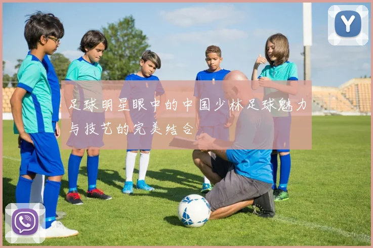 足球明星眼中的中国少林足球魅力与技艺的完美结合