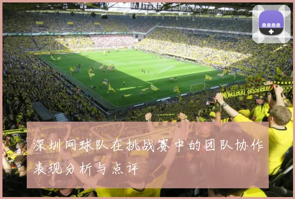 深圳网球队在挑战赛中的团队协作表现分析与点评