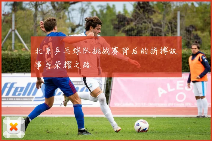 北京乒乓球队挑战赛背后的拼搏故事与荣耀之路