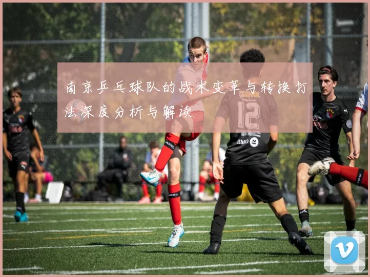 南京乒乓球队的战术变革与转换打法深度分析与解读