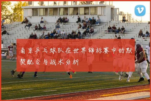 南京乒乓球队在世界锦标赛中的默契配合与战术分析