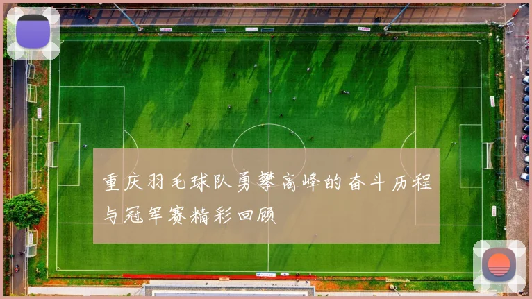 重庆羽毛球队勇攀高峰的奋斗历程与冠军赛精彩回顾