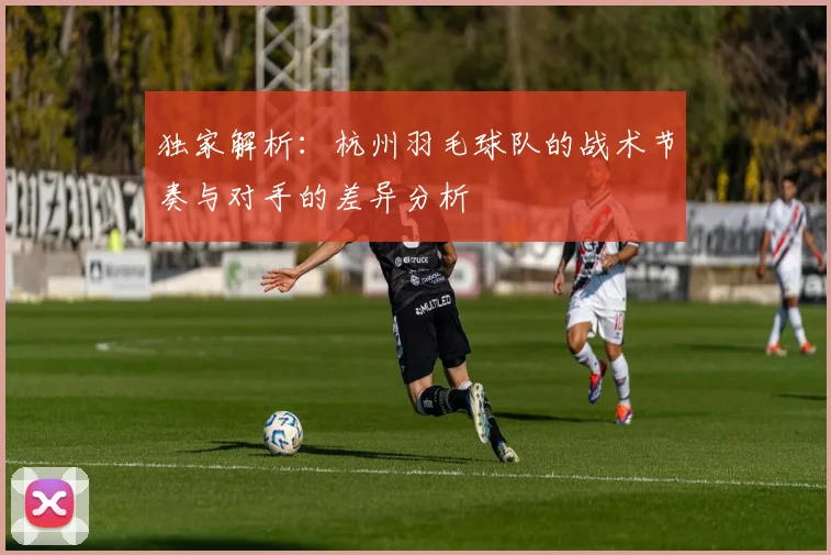 独家解析：杭州羽毛球队的战术节奏与对手的差异分析